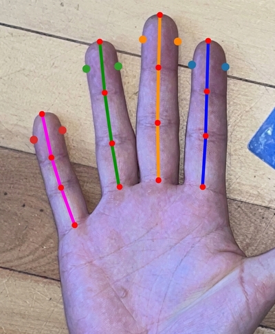Finger keypoint annotation